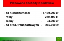 projekt budzetu 2021- prezentacja-07