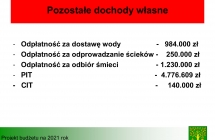 projekt budzetu 2021- prezentacja-08