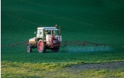 pesticide-4089881_1920
