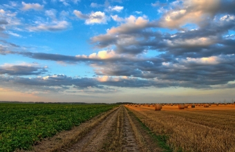 droga wsrod pol uprawnych. Na tle niebo