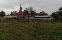 IMG_20211012_090203