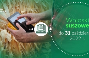 Informacja o suszy