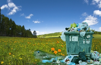 Blekitne niebo, zielona laka obok kosz z wysypujacymi sie smieciami