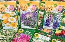 papierowe torebki nasion