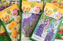 torebki z nasionami ziol i kwiatow