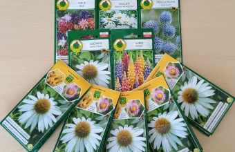 zestaw torebek z nasionami kwiatów