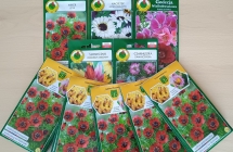 torebki z nasionami kwiatów