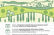 bialo zielona grafika z napisami