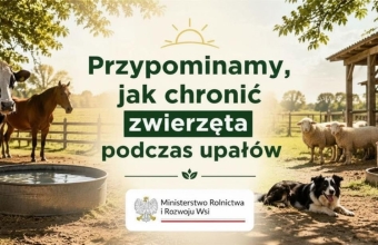 Grafika z zielonym napisem posrodku oraz zwierzeta gospodarskie w tle