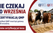 Baner QMP certyfikacja