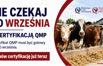 Baner QMP certyfikacja