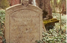 Lesnictwo Cisew cmentarz ewangelicki Poroze